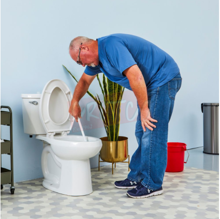 Toilet Bowl Brush With Caddy