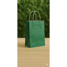 10.5x8x3.5inch Emerald Green Gift Bag