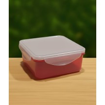 (SQ) 850ml Kids Lunch Box Square Red Colour