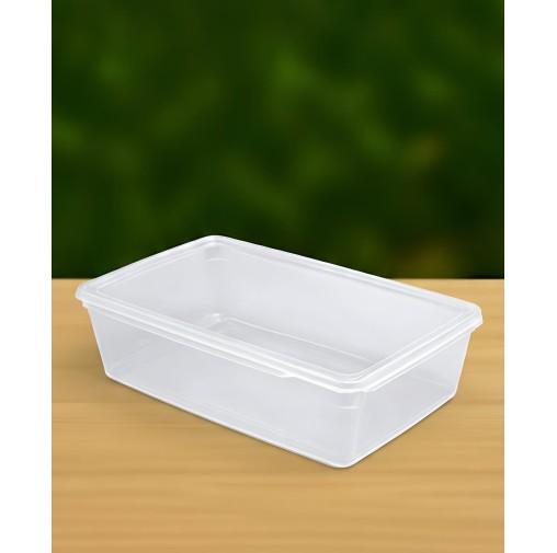 Storage Container Clear Large (H-68)