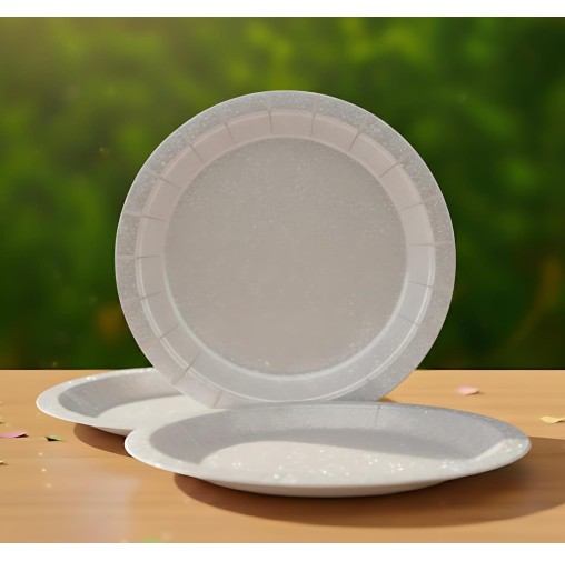 7inch Shiny Silver Paper Plate (Pack of 10pcs)