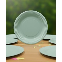 9 inch Pastel Green Paper Plate (Pack of 10pcs)