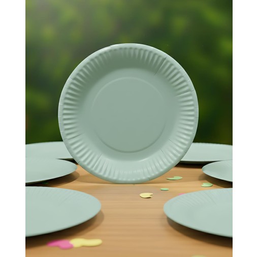 9 inch Pastel Green Paper Plate (Pack of 10pcs)