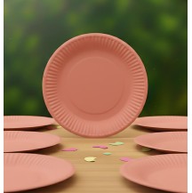 9 inch Pastel Peach Paper Plate (Pack of 10pcs)