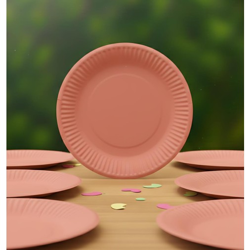 9 inch Pastel Peach Paper Plate (Pack of 10pcs)