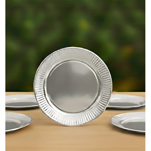 9 inch Metalic Silver  Paper Plate (Pack of 10pcs)